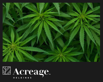 Acreage Holdings case study tile